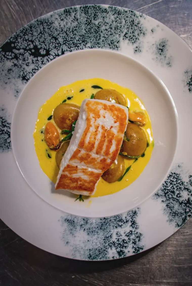 A fish course on Sage's green-patterned china, with a golden sauce and potatoes
